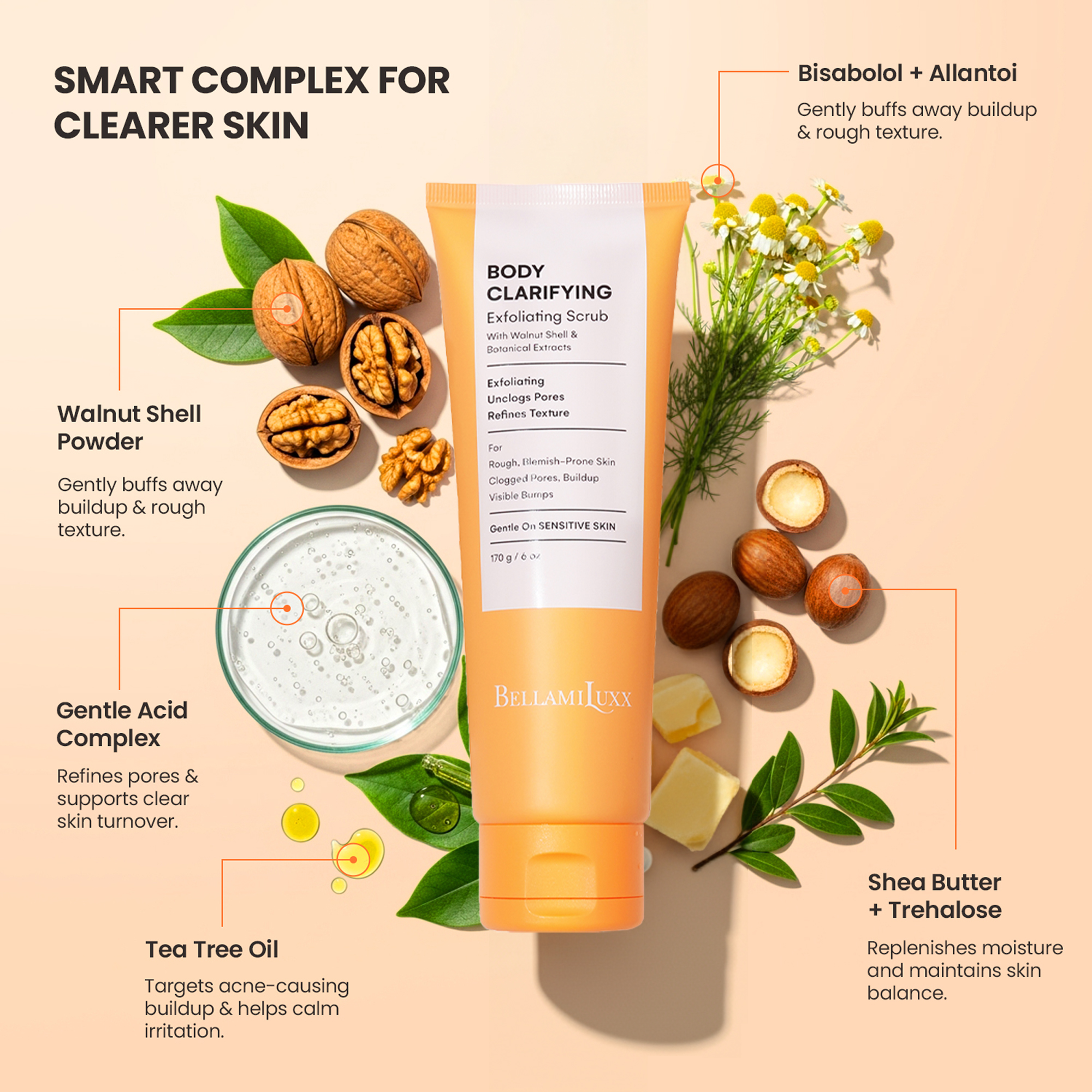 Ingredient Spotlight - Desktop View